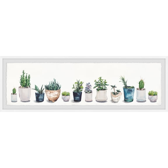 Parvez Taj Succulents and Sunshine Framed Painting Print