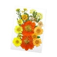 thumbnail image 3 of Flores prensadas secas, juego de flores de , hermosa artesanía, fabricación de velas, Material de fabricación DIY para pantallas de , Mezclar amarillo, 3 of 8