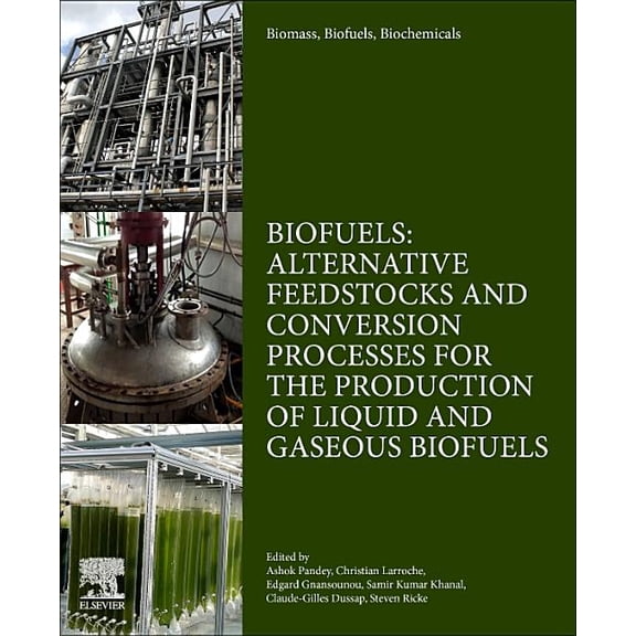 Biomass, Biofuels, Biochemicals Biomass, Biofuels, Biochemicals: Biofuels: Alternative Feedstocks and Conversion Processes for the Production of Liquid , (Paperback)