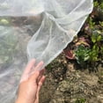 thumbnail image 2 of 1 Red Anti-Insectos para Verduras de Huerta: 3 x 5 m Malla Fina Protección para Puerros Frutales Jardinería Planta Velo Blanco, 2 of 5