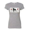 thumbnail image 1 of Tee Hunt Best Furiend Women's T-Shirt Man's Best Friend Dog Pup Puppie Doggie Paw Shirt, Gray, 3X-Large, 1 of 5