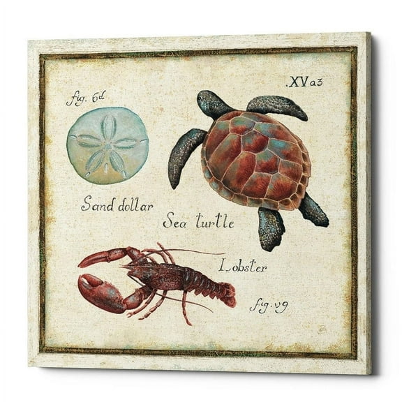 Epic Graffiti 'Oceanography II' Canvas Wall Art, 12"x12" 12" x 12"