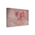 thumbnail image 4 of Trademark Fine Art 'Pink Ranunculus Bouquet' Canvas Art by Cora Niele, 4 of 4