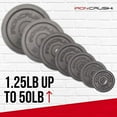 thumbnail image 2 of Standard 1 inch Cast Iron Weight plates - Superior Hammertone Finish, Wider Range 1.25-50 lbs Weights. Ideal for Dumbbell Handles, 1in Barbells, Adjustable Kettlebell Handles - Sol, 2 of 6
