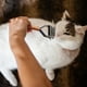 thumbnail image 5 of Xihbxyly Peine para Quitar El Pelo de Mascotas, Cepillo de Dientes de Acero Inoxidable, Elimina Nudos y Pelo Suelto, Herramienta de Aseo para Perros y Gatos, Mango de Madera, Diseño Seguro para La Pi, 5 of 7