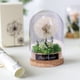 thumbnail image 1 of Adorno floral de escritorio en azul cielo y verde | Decoración floral de plástico realista y eterna | Decoración de escritorio de oficina sin mantenimiento | Regalo decorativo para el hogar y la, 1 of 6