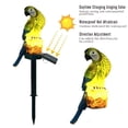 thumbnail image 3 of ZOEYKIMLO Solar Outdoor Parrot Lights, Garden Solar light Decoration, Outdoor Solar Light Crafts Animal for Patio Garden Pathway Lanscape, Green, 2Pack, 3 of 9