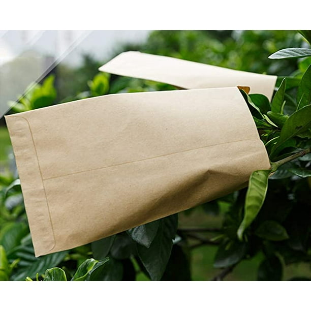 200 Sobres De Papel Kraft Pequeños 6x10 Cm - Para Semillas, Joyas, Bodas, Navidad Y Manualidades