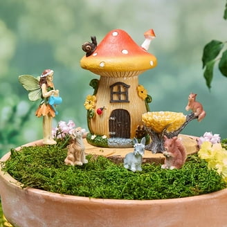 Marshall Home & Garden Fairy Garden W...