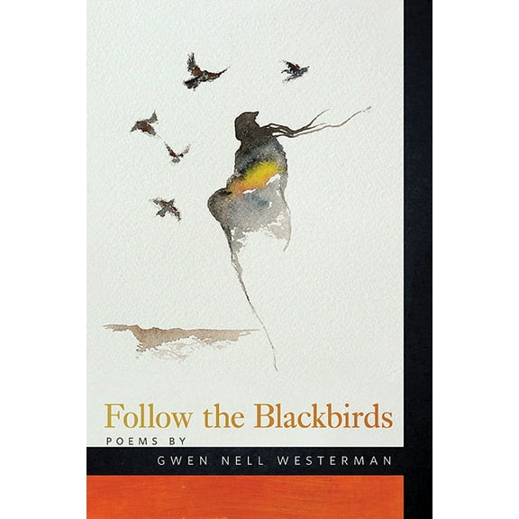 American Indian Studies Follow the Blackbirds, (Paperback)