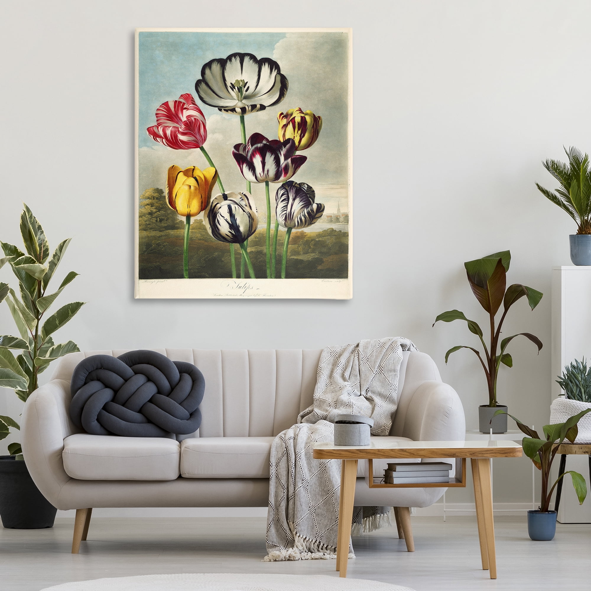 Stupell Industries Tulips From The Temple Canvas Wall Art, design by Print Collection
