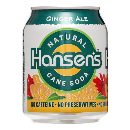 UPC 070847876960 product image for Hansen's Natural Cane Soda Ginger Ale, 8 Fl. Oz., 6 Count | upcitemdb.com