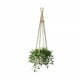 thumbnail image 3 of Cuerda Colgante Para Flores De Interior, Maceta Para Plantas, Cuerda Colgante De Cuero, Exquisita Maceta, Soporte Para Decoración De Pared Inevent HA026414-01, 3 of 7