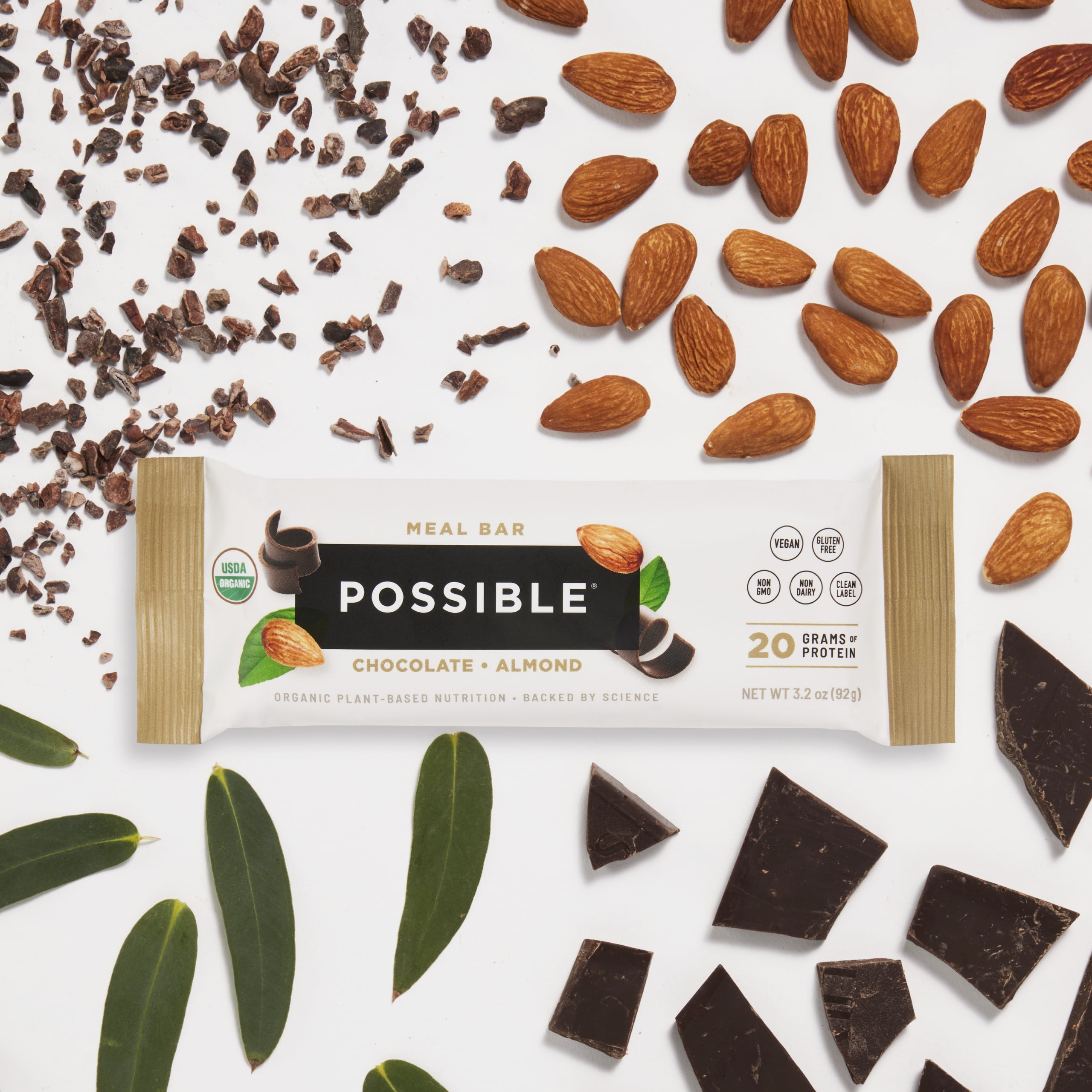 Possible Meal Bar - High Protein Energy Bars 20 Grams Organic Plant-Based Protein, Vegan, Gluten-Free, Non-Dairy - 1 Box, 10 Bars - Chocolate Almond