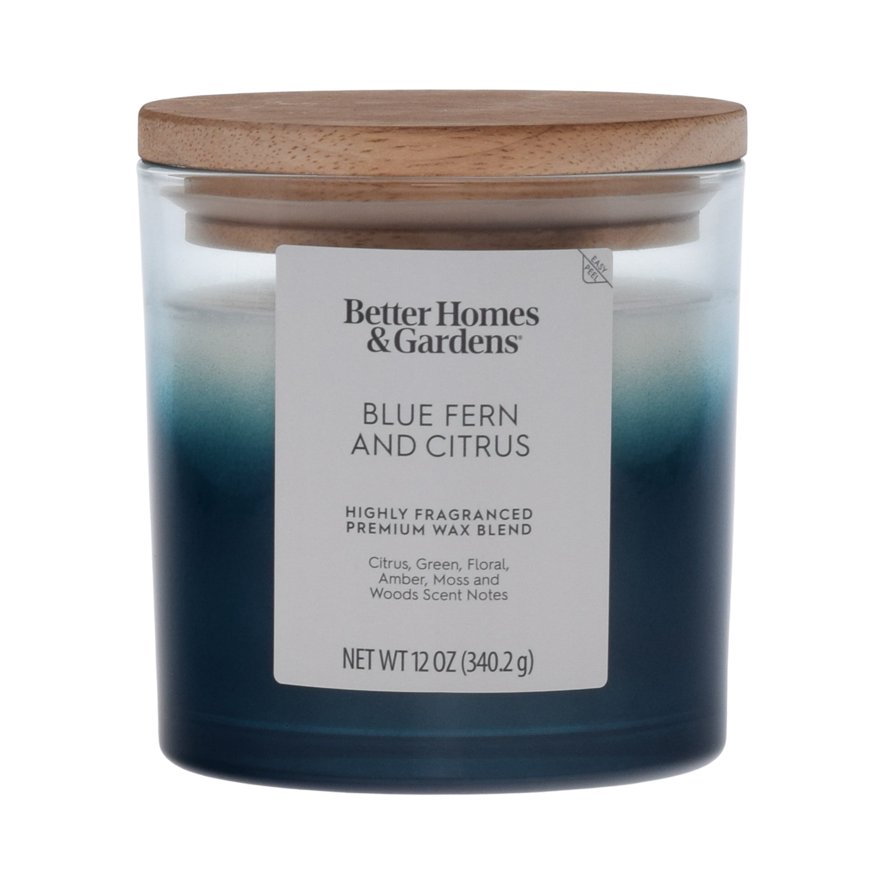 (4 pack) Better Homes and Gardens Blue Fern and Citrus Scented 2-Wick Ombre Jar Candle 12oz.