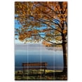 thumbnail image 1 of Picture-Tiles.com: Autumn Ceramic Tile Wall Mural WAL500002-46L. 32"W x 48"H using (24) 8" x 8" Ceramic Tiles-Satin Finish, 1 of 3