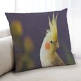 thumbnail image 1 of Ahgly Company Animals Parrot Coussin Intérieur, 18 Pouces par 18 Pouces, 1 of 6