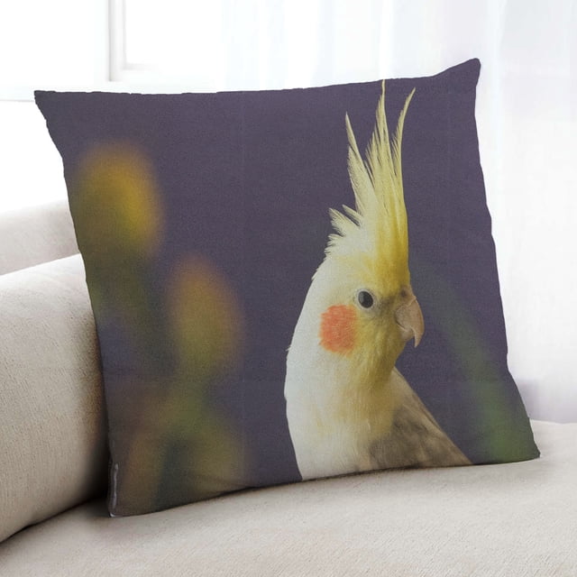 Ahgly Company Animals Parrot Coussin Intérieur, 18 Pouces par 18 Pouces