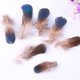 thumbnail image 5 of Plumas artesanales naturales, 50 piezas Mini tabletas azules Plumas de pollo (2-4 pulgadas) para pendientes de bricolaje Accesorios Alas Atrapasueños Artesanía, 5 of 5