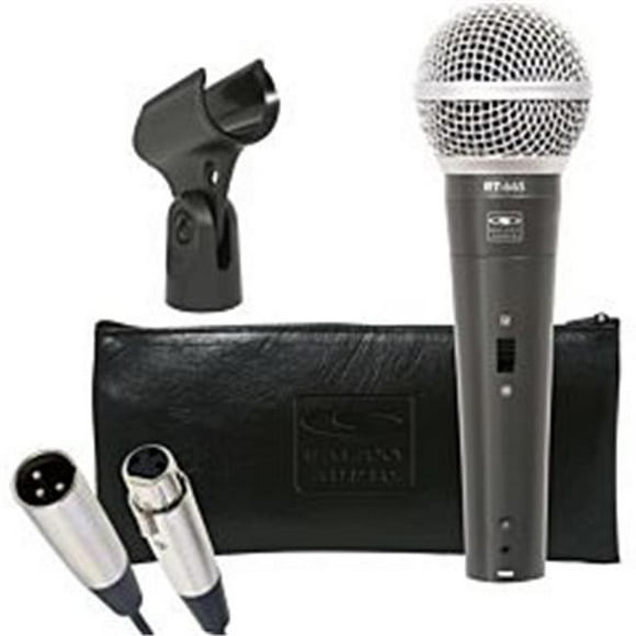 Galaxy Audio RT66SX Microphone Vocal Dynamique avec Interrupteur