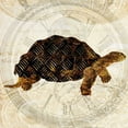 thumbnail image 2 of Ilosky, Pam 12x12 Gold Ornate Wood Framed with Double Matting Museum Art Print Titled - Steam Punk Turtle II, 2 of 4