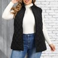 thumbnail image 7 of DISKEBUISS Plus Size Quilted Puffer Vest for Women Stand Collar Sleeveless Zip Up Gilet with Pockets for Fall Winter, 7 of 7