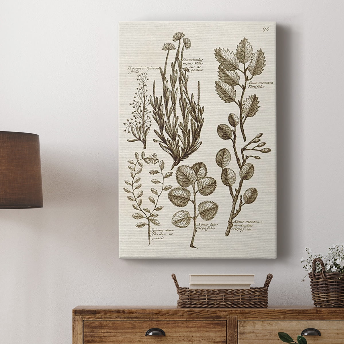 Sepia Botanical Journal VIII Premium Gallery Wrapped Canvas - Ready to Hang