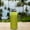 Yellow YE, variant on Ganfancp Rubber Insulation With Bottom Can Diving Cloth Beer Cup Cover Summer Savings Clearance