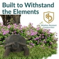 thumbnail image 5 of Sunnydaze Todd the Tortoise Indoor/Outdoor Garden Statue - 30", 5 of 9