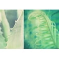 thumbnail image 2 of Soffia, Myan 14x11 White Modern Wood Framed Museum Art Print Titled - Mint, 2 of 4