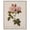 Silver Frame, variant on Damask Rose Canvas Vintage Botanical by Art Remedy, Gallery Wrapped, 36 x 45