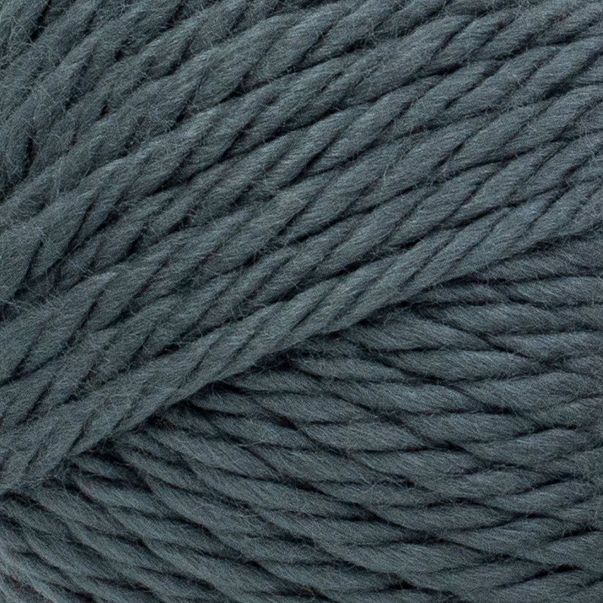 Lion Brand Hometown Yarn-Lakeland Olive