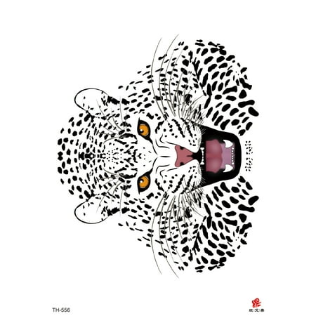 animal Puma Cheetah large animal Puma Cheetah large