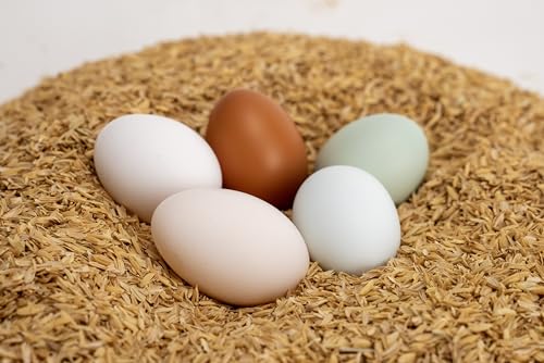 Product image Rice Hulls - Organic Use - 5lb - House Plants – Gardening - Chicken Bedding Nesting