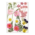 thumbnail image 1 of Pressed Flowers Face Decorations Wedding Supplies Resin Flower Flower Party Manual Craft Craftsmanship Scrapbooking Prop DIY Accessory Type 1, 1 of 8