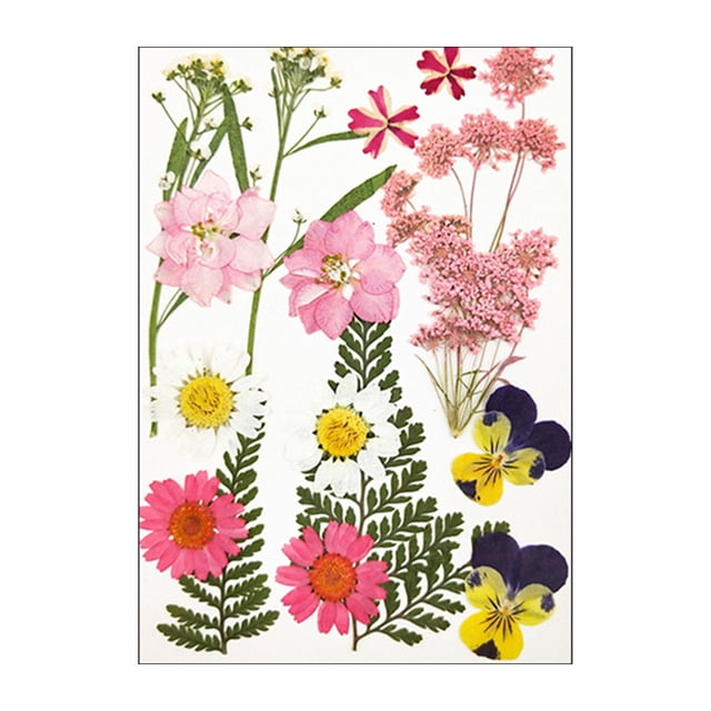Pressed Flowers Face Decorations Wedding Supplies Resin Flower Flower Party Manual Craft Craftsmanship Scrapbooking Prop DIY Accessory Type 1