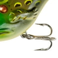 thumbnail image 5 of Rebel Pop'N Frog Topwater Bullfrog 1 7/8" 3/16 oz., 5 of 6