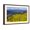 Brown Frame, variant on Art.com Colorado, Shrine Pass, Vail. Wildflowers on Mountain Landscape Photographic Print by Jaynes Gallery, 18" x 12"