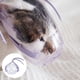 thumbnail image 2 of Bozal para gatos Bozal para mascotas Aseo para gatitos Anti mordeduras y masticaciones Seguridad Anti maullidos M, 2 of 9