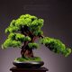 thumbnail image 5 of Planta de simulación for sala de estar, bonsái, plantas verdes de interior, plantas en maceta, árbol falso grande, adornos de decoración de paisaje de escritorio, 5 of 6