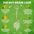 thumbnail image 5 of 24-in-1 Gut & Mood Support Supplement - Slippery Elm Bark, Probiotics & Ashwagandha - 120 Capsules, 5 of 8