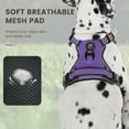 thumbnail image 7 of FURRYFECTION Dog Harness and Leash Set for Medium Dogs, Breathable Padded Pet Harness with No Pull Heavy Duty Nylon Leash, Reflective Dog Vest for Outdoor Walking,Purple M, 7 of 7