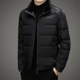 thumbnail image 3 of Ropa de diseñador para hombre, chaqueta de plumón ultraligera, chaquetas ligeras acolchadas con cuello alto para hombre, abrigo de invierno con relleno de plumón de pato para hombre, 3 of 5