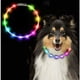 thumbnail image 5 of Collar luminoso para perro, collar para perro recargable por USB, collar para perro de seguridad LED, longitud ajustable con 2 modos de flash para perros pequeños, medianos y grandes, 5 of 5