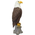 thumbnail image 4 of Majestic Mountain Eagle Garden Statue, 4 of 7