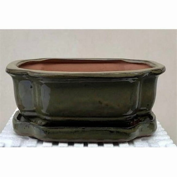 Bonsai Boy of New York L379a 8.5 x 6.5 x 3 in. Olive Green Ceramic Bonsai Pot with Humidity Drip Tray, Rectangle
