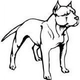 Living Room Art Bull Dog Animal Kids Boys