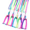 thumbnail image 2 of EGNMCR Pet Leashes Nylon Pet Dog Colorful Lead Leash Collar Belt Pet Collars, 2 of 3