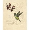 thumbnail image 2 of Barrett, Chad 12x14 Gold Ornate Wood Framed with Double Matting Museum Art Print Titled - Filigree Hummingbird, 2 of 4
