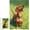 500 PCS, variant on Jigsaw Puzzle, 500 Pieces, Dachshund Dog Lovers Edition for Adults, 20.5x15 in